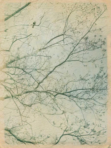 Leave it Behind I Black Ornate Wood Framed Art Print with Double Matting by Jorgensen, Jennifer