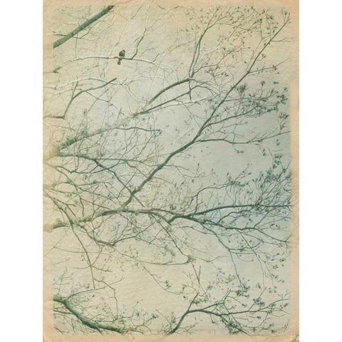 Leave it Behind I Gold Ornate Wood Framed Art Print with Double Matting by Jorgensen, Jennifer