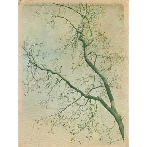 Leave it Behind II Gold Ornate Wood Framed Art Print with Double Matting by Jorgensen, Jennifer