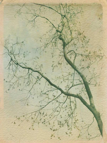 Leave it Behind II White Modern Wood Framed Art Print with Double Matting by Jorgensen, Jennifer