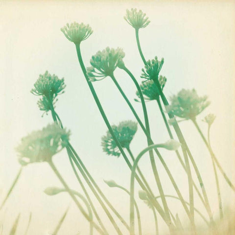 Faded Away II White Modern Wood Framed Art Print with Double Matting by Jorgensen, Jennifer