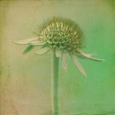 Faded Away III Black Modern Wood Framed Art Print with Double Matting by Jorgensen, Jennifer