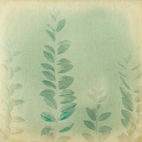 Faded Away IV White Modern Wood Framed Art Print with Double Matting by Jorgensen, Jennifer