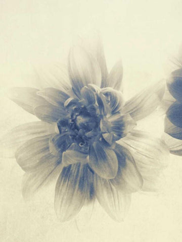 And Again I Black Ornate Wood Framed Art Print with Double Matting by Jorgensen, Jennifer