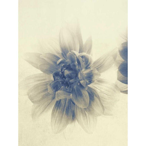 And Again I White Modern Wood Framed Art Print by Jorgensen, Jennifer