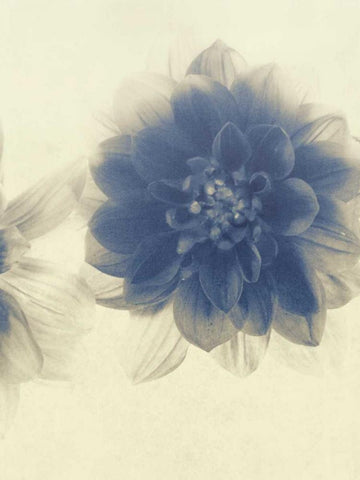 And Again II Black Ornate Wood Framed Art Print with Double Matting by Jorgensen, Jennifer