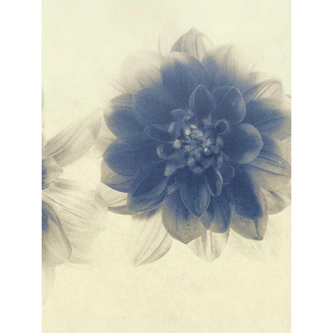 And Again II White Modern Wood Framed Art Print by Jorgensen, Jennifer