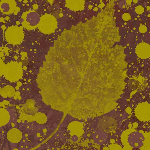 Botany Expressions I White Modern Wood Framed Art Print by Orlov, Irena