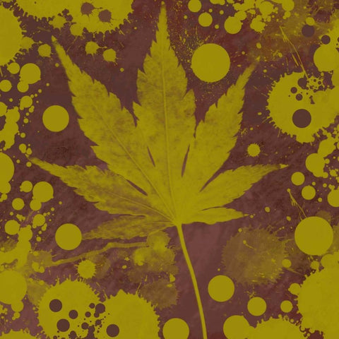 Botany Expressions II Black Modern Wood Framed Art Print by Orlov, Irena