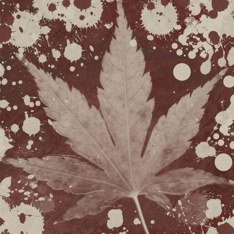 Botany Expressions IV White Modern Wood Framed Art Print by Orlov, Irena