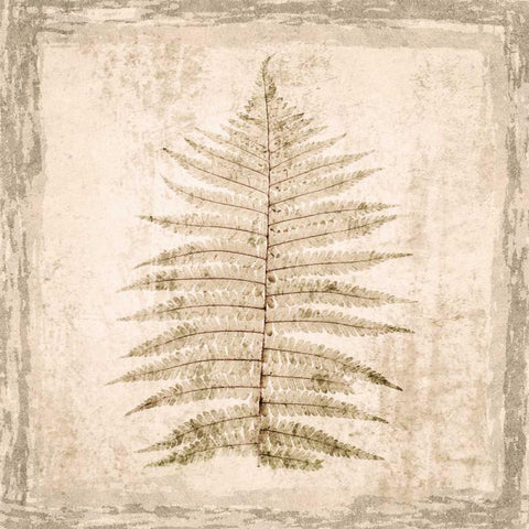 Stone Leaf I White Modern Wood Framed Art Print by Orlov, Irena