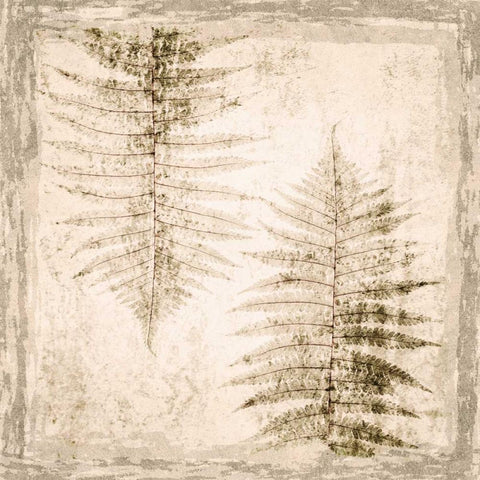 Stone Leaf II White Modern Wood Framed Art Print with Double Matting by Orlov, Irena