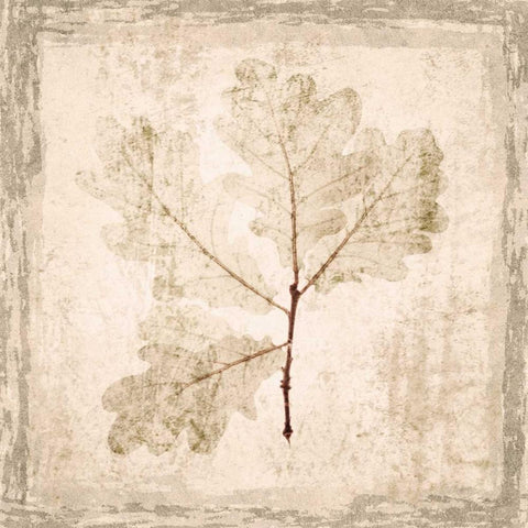 Stone Leaf III White Modern Wood Framed Art Print by Orlov, Irena