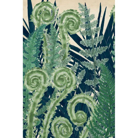 Fiddlehead Waltz I Black Modern Wood Framed Art Print with Double Matting by McCavitt, Naomi