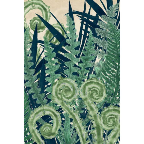 Fiddlehead Waltz II Black Modern Wood Framed Art Print with Double Matting by McCavitt, Naomi