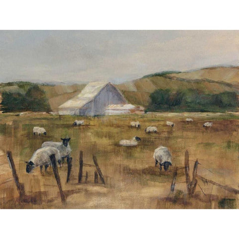 Grazing Sheep I White Modern Wood Framed Art Print by Harper, Ethan