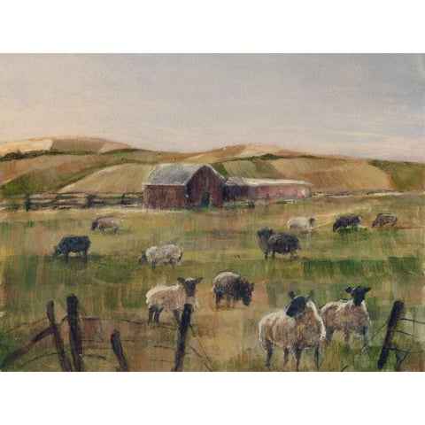 Grazing Sheep II White Modern Wood Framed Art Print by Harper, Ethan