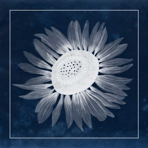 Moon Flower II White Modern Wood Framed Art Print with Double Matting by Popp, Grace