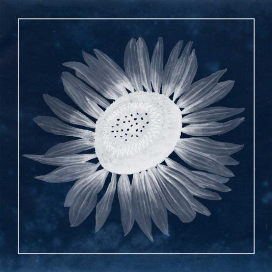 Image Only