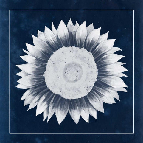 Moon Flower III Black Modern Wood Framed Art Print by Popp, Grace