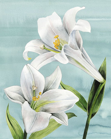 Peaceful Lilies I White Modern Wood Framed Art Print with Double Matting by Popp, Grace