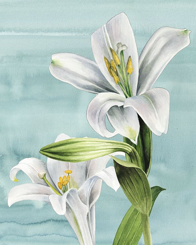 Peaceful Lilies II White Modern Wood Framed Art Print with Double Matting by Popp, Grace