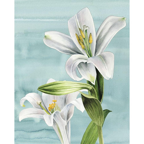 Peaceful Lilies II White Modern Wood Framed Art Print by Popp, Grace