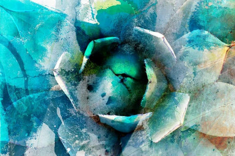 Agave Abstract I Black Ornate Wood Framed Art Print with Double Matting by Jasper, Sisa