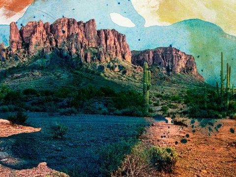 Arizona Abstract  Black Ornate Wood Framed Art Print with Double Matting by Jasper, Sisa