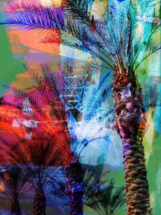 Image Only