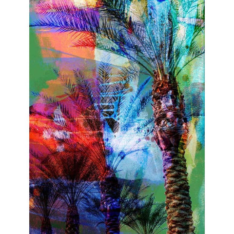 Desert Palm Abstract  Black Modern Wood Framed Art Print by Jasper, Sisa