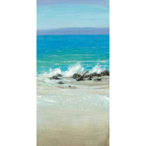 Salt Spray II Black Modern Wood Framed Art Print with Double Matting by OToole, Tim