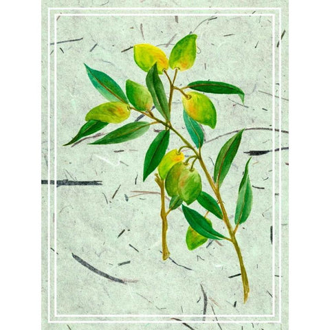 Olives on Textured Paper I Gold Ornate Wood Framed Art Print with Double Matting by Wang, Melissa