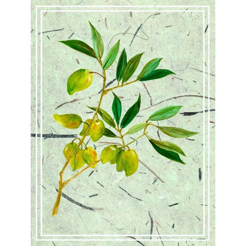 Olives on Textured Paper II Gold Ornate Wood Framed Art Print with Double Matting by Wang, Melissa