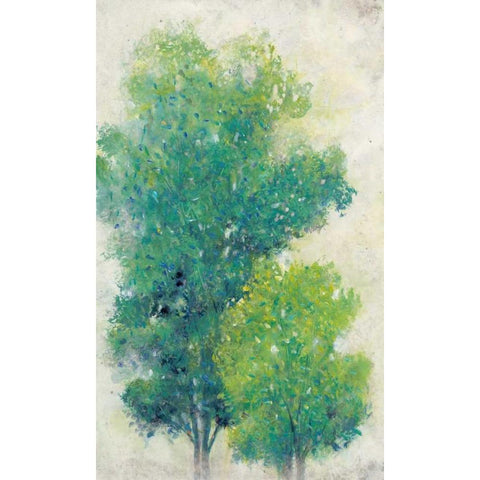 A Pair of Trees I Black Modern Wood Framed Art Print with Double Matting by OToole, Tim