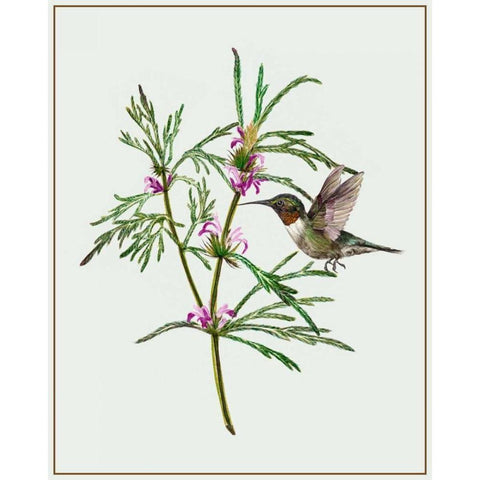 Leonurus Japonicus I White Modern Wood Framed Art Print by Wang, Melissa