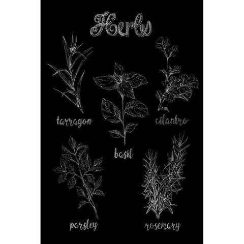 Herb Varieties Black Modern Wood Framed Art Print with Double Matting by Harper, Ethan