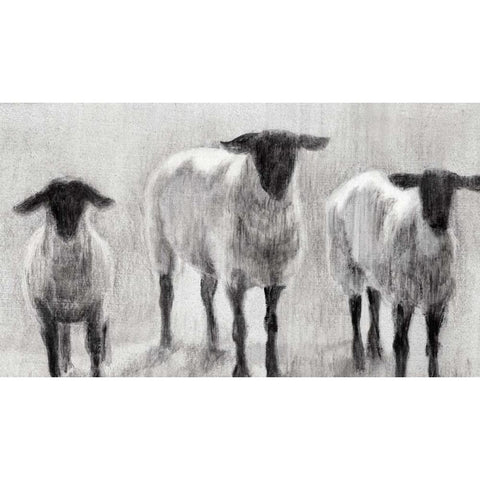 Rustic Sheep II Gold Ornate Wood Framed Art Print with Double Matting by Harper, Ethan