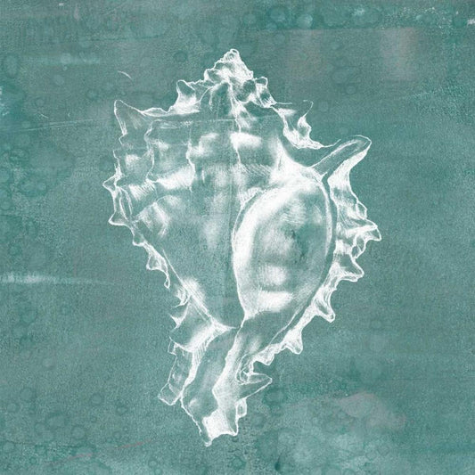 Image Only