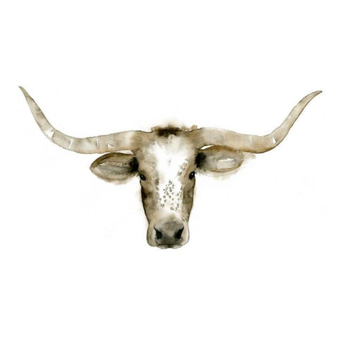 Longhorn Steer I White Modern Wood Framed Art Print by Popp, Grace