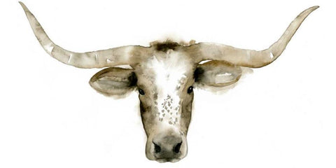 Longhorn Steer I White Modern Wood Framed Art Print with Double Matting by Popp, Grace