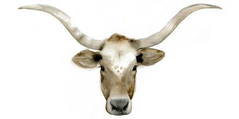 Longhorn Steer II White Modern Wood Framed Art Print with Double Matting by Popp, Grace