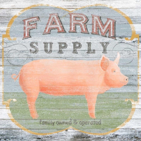 Farm Supply II White Modern Wood Framed Art Print with Double Matting by Vess, June Erica