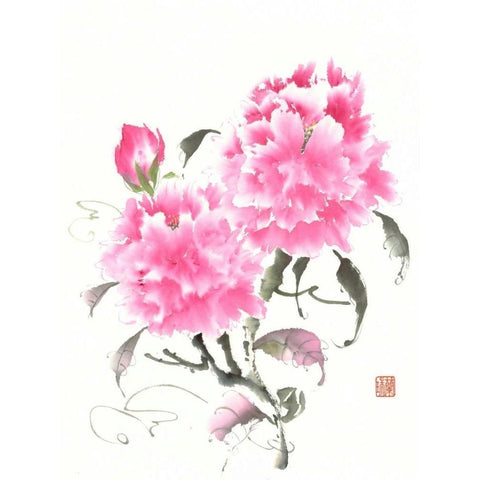 Peonie Blossoms II White Modern Wood Framed Art Print by Rae, Nan