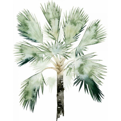 Watercolor Palm of the Tropics I White Modern Wood Framed Art Print by Popp, Grace