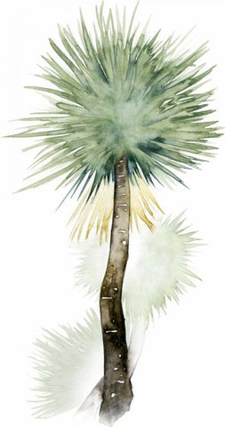 Palm in Watercolor II Black Ornate Wood Framed Art Print with Double Matting by Popp, Grace