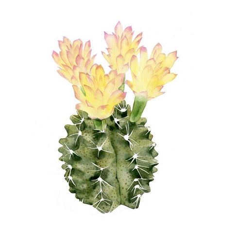 Cactus Bloom II Gold Ornate Wood Framed Art Print with Double Matting by Popp, Grace