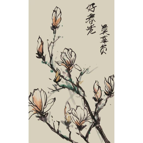 Mandarin Magnolia I Black Modern Wood Framed Art Print with Double Matting by Wang, Melissa