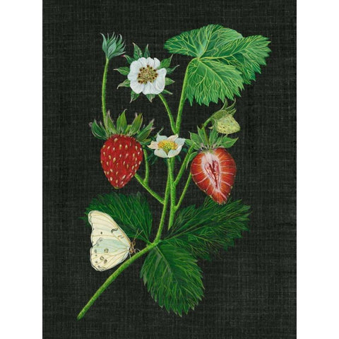 Strawberry Fields I Gold Ornate Wood Framed Art Print with Double Matting by Wang, Melissa