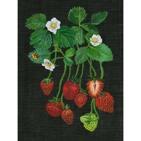 Strawberry Fields II Black Modern Wood Framed Art Print with Double Matting by Wang, Melissa